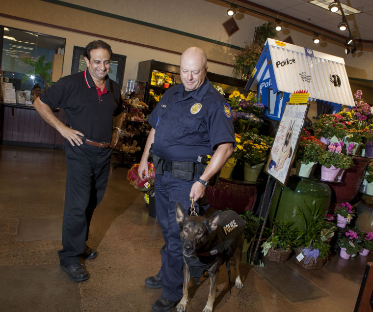 K9 vests